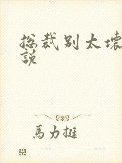 总裁别太坏 小说封面