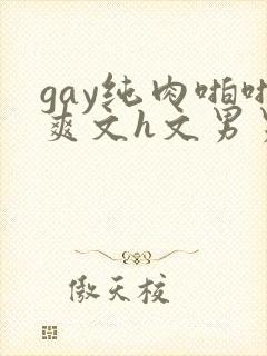 gay纯肉啪啪爽文h文男男np