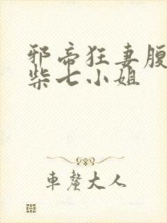 邪帝狂妻腹黑废柴七小姐