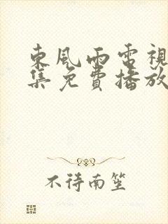 东风雨电视剧全集免费播放封面