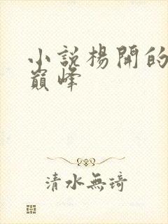 小说杨开的武炼巅峰