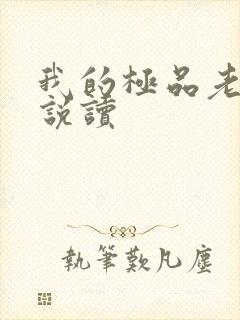 我的极品老婆小说读