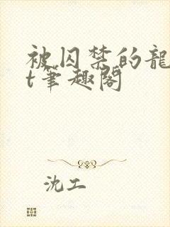 被囚禁的龙txt笔趣阁
