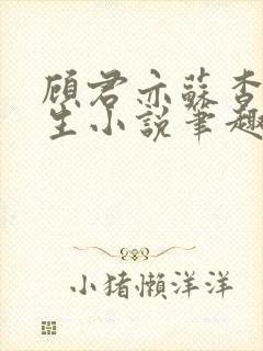 顾君亦苏杳国防生小说笔趣阁免费