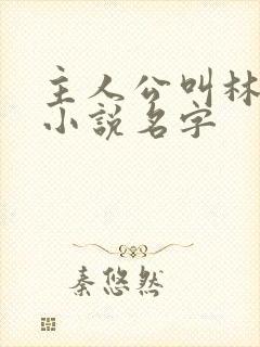 主人公叫林天的小说名字