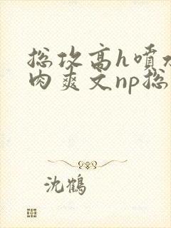 总攻高h喷水荡肉爽文np总攻封面