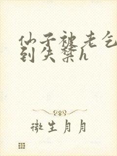 仙子被老乞丐肉到失禁h