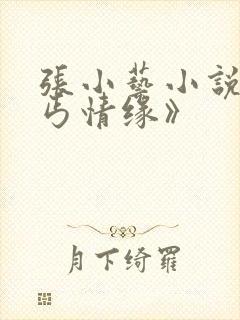张小艺小说《乞丐情缘》