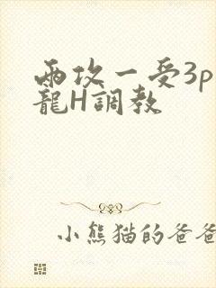 两攻一受3p双龙H调教