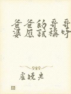 爸爸的哥哥的老婆应该称呼什么封面
