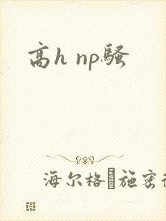 高h np骚
