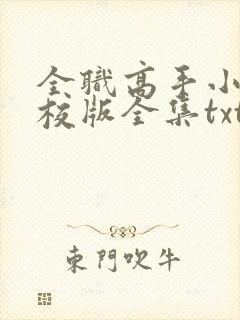 全职高手小说精校版全集txt封面