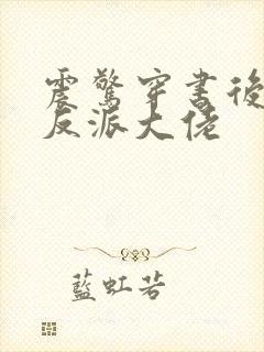 震惊穿书后娶了反派大佬