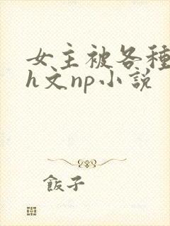 女主被各种调教h文np小说