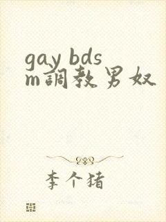 gay bdsm调教男奴封面