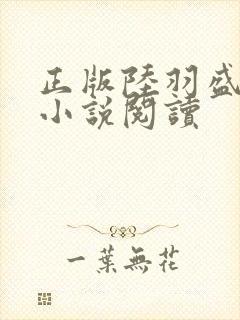 正版陆羽盛凌云小说阅读