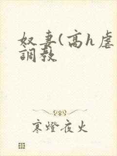 奴妻(高h虐身调教