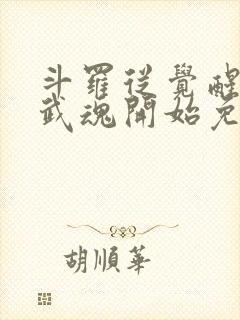斗罗从觉醒朱雀武魂开始免费阅读