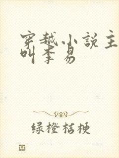 穿越小说主人公叫李易