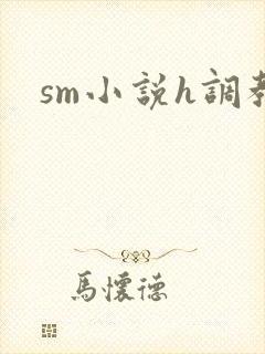 sm小说h调教