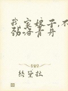 我家娘子,不对劲洛青舟