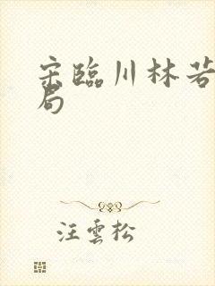 宋临川林若婵结局