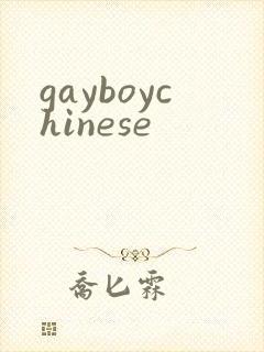 gayboychinese