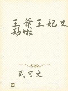 王爷王妃又去打劫啦