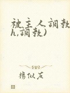 被主人调教(高h,调教)