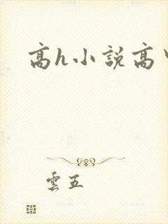 高h小说高中生