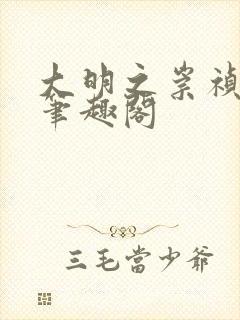 大明之崇祯大帝笔趣阁