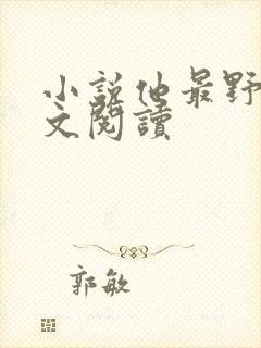 小说他最野了全文阅读