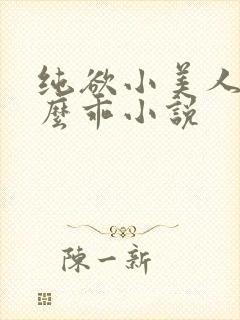纯欲小美人他那么乖小说