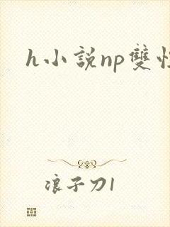 h小说np双性