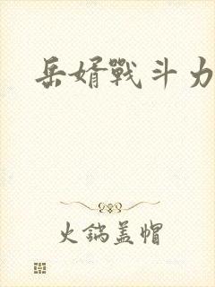 岳婿战斗力