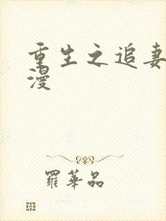 重生之追妻路漫漫