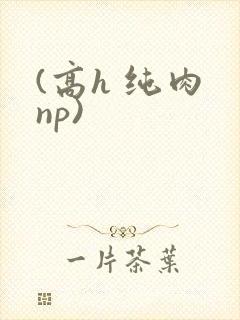 (高h 纯肉 np)