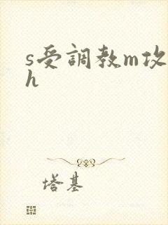 s受调教m攻高h
