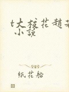 t大校花赵若芸 小说