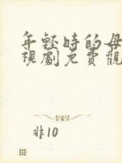 年轻时的母亲电视剧免费观看5封面