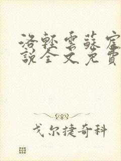 洛轻云苏宸皓小说全文免费阅读封面
