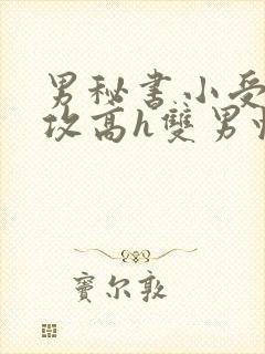 男秘书小受引诱攻高h双男快穿