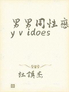 男男同性恋gayⅴidoes