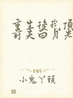 重生后我顶替了前夫白月光 第118章