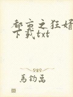 都市之狂婿战神下载txt