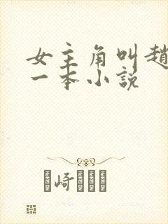 女主角叫赵琳的一本小说