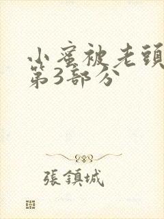 小蜜被老头调教第3部分