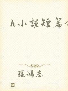 h小说短篇合集封面