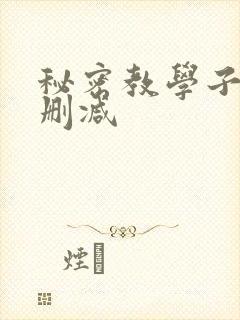 秘密教学子豪无删减