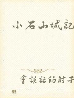 小石山城记封面